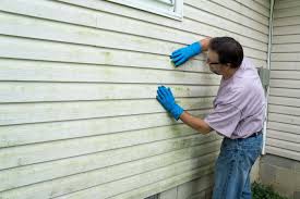 Best Storm Damage Siding Repair  in Tichigan, WI